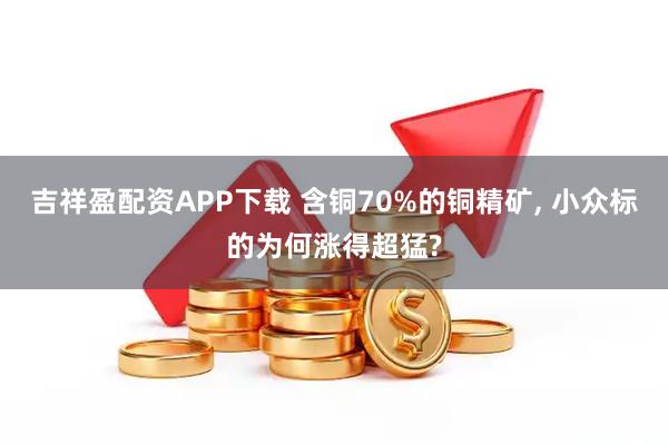 吉祥盈配资APP下载 含铜70%的铜精矿, 小众标的为何涨得超猛?