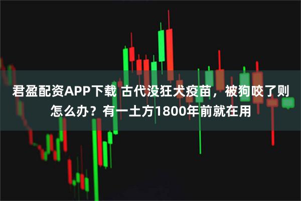君盈配资APP下载 古代没狂犬疫苗，被狗咬了则怎么办？有一土方1800年前就在用