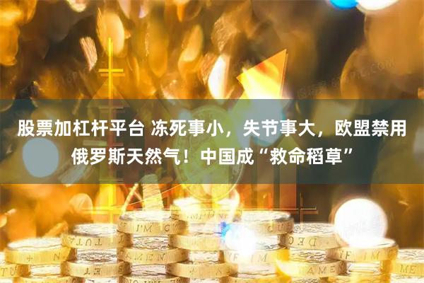 股票加杠杆平台 冻死事小，失节事大，欧盟禁用俄罗斯天然气！中国成“救命稻草”